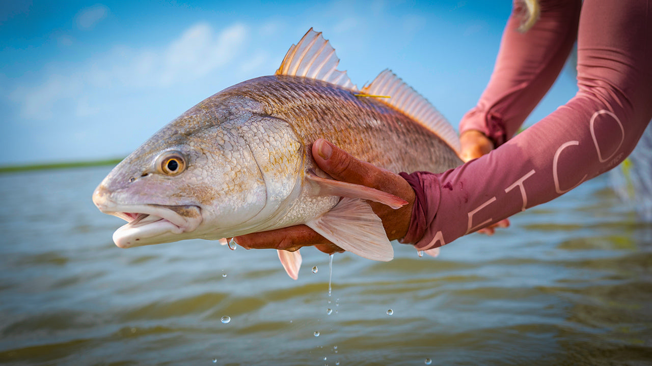 Top Five Biggest Fly Fishing Mistakes for Skinny Water Redfish
