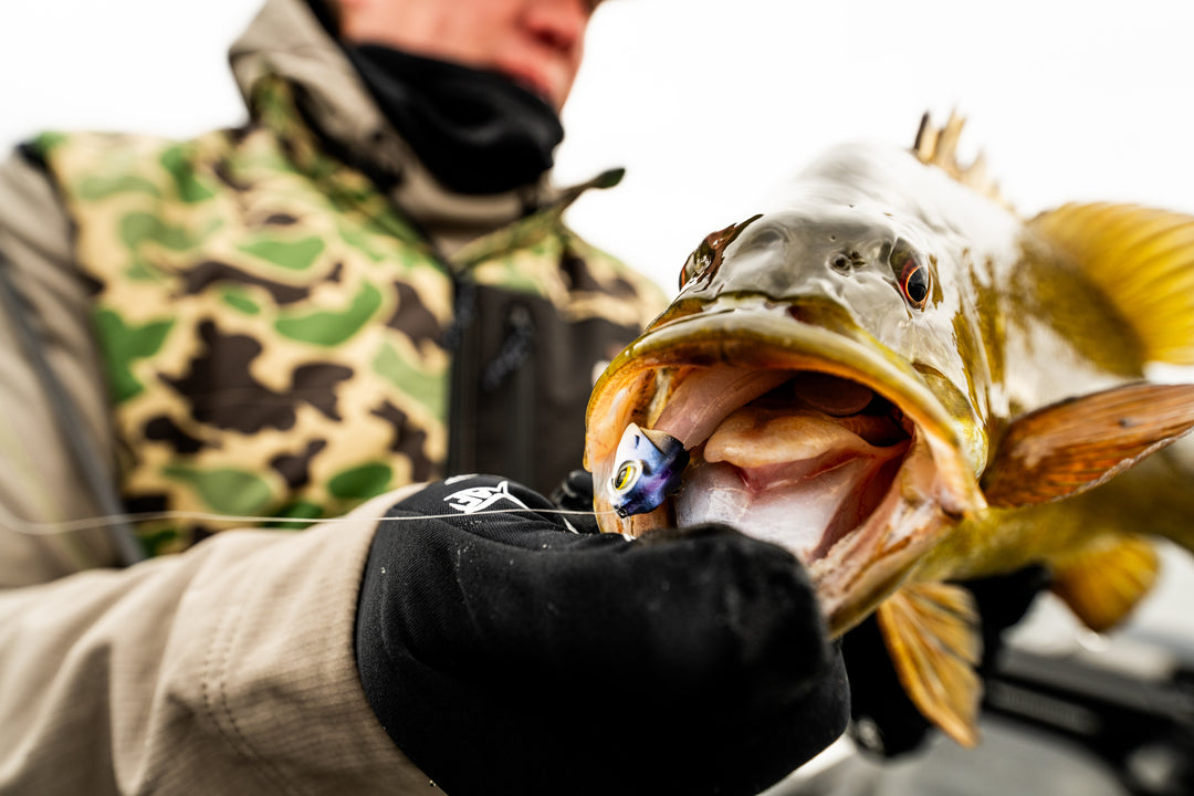 5 Must-Have Bass Fishing Lures