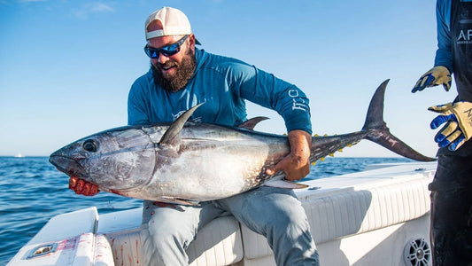 How to Harvest Bluefin Tuna