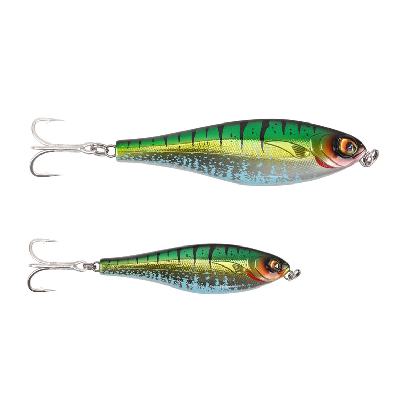 Fish with Surface & Sub Surface Lures