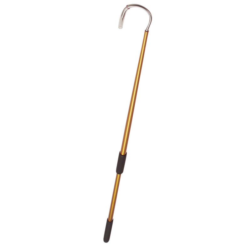  GAFFER SPORTFISHING Aluminum Fish Gaff with Sharp Stainless  Steel Fishing Spear Hook, Lightweight Sturdy Fishing Pole